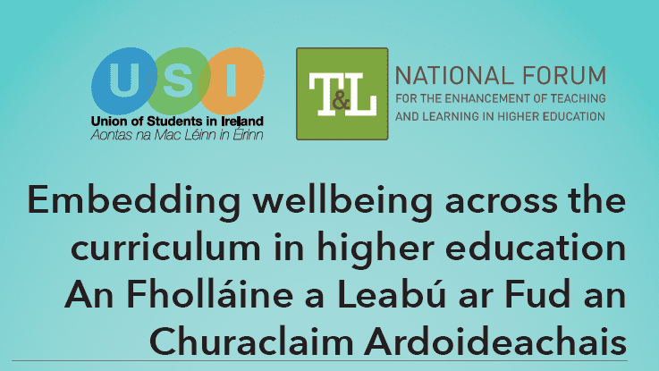‘Supporting Wellbeing in Practice’ webinar and report